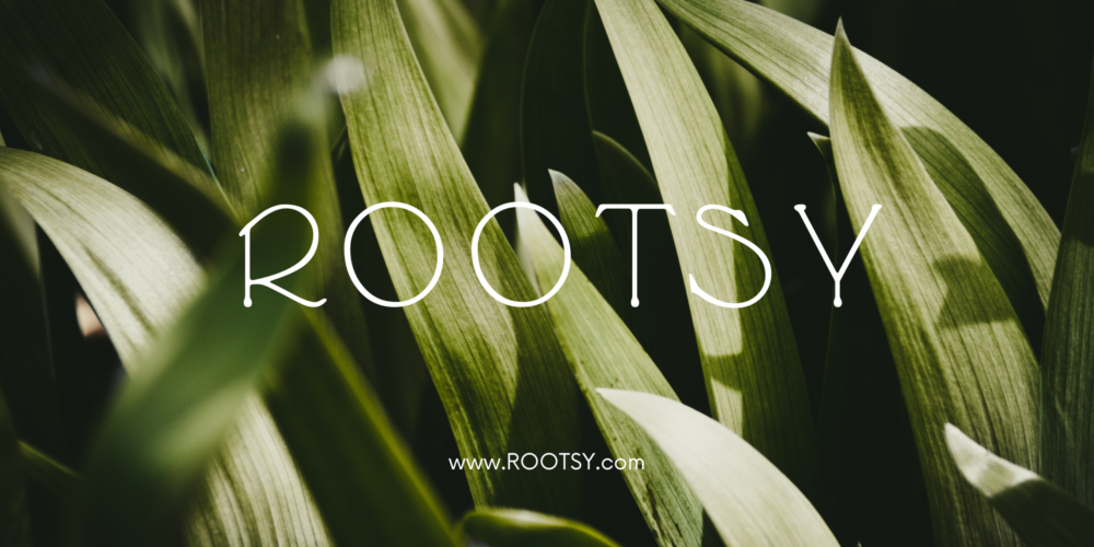 plant hello march banner