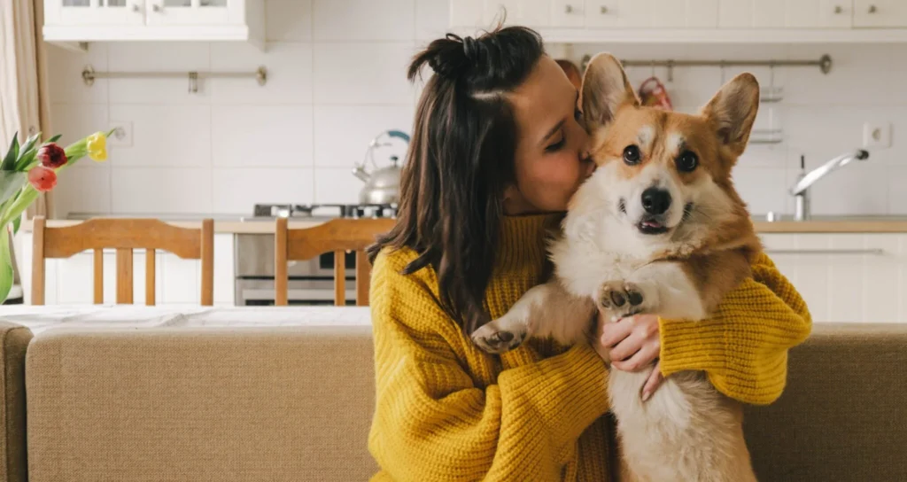 united pet care pet discount plans 2048x1087 1